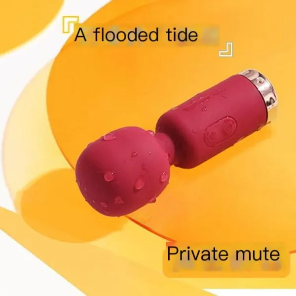 TR-011 TideRipple Mini AV Vibrator_ (2)