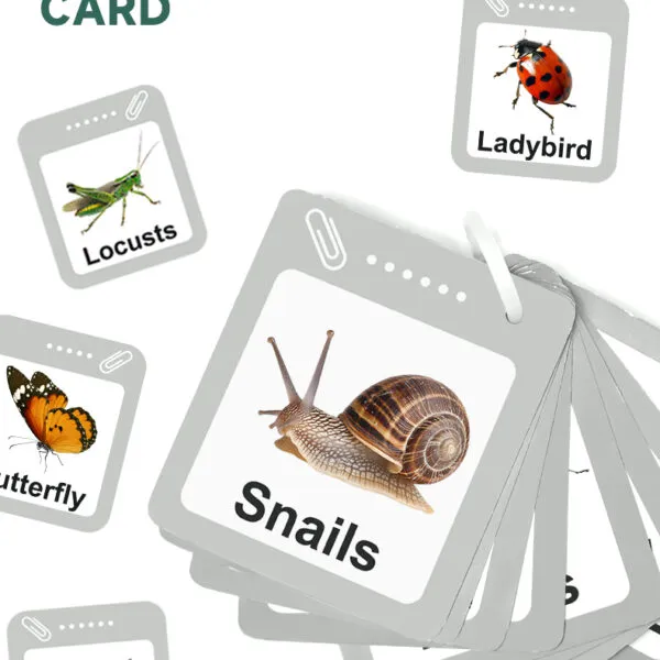 WT-208 Kids Outdoor Bug Explorer Kit_ (7)