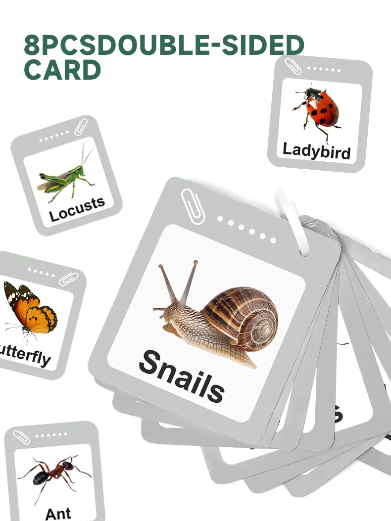 WT-208 Kids Outdoor Bug Explorer Kit_ (7)