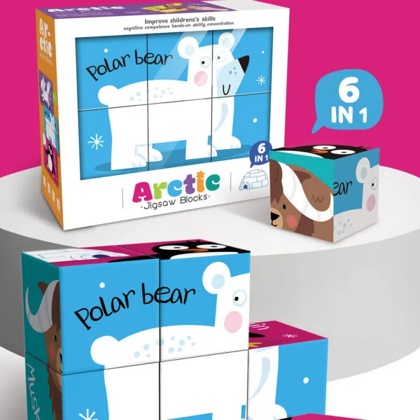 PP-8746 6-in-1 Educational Cube Puzzle_Arctic