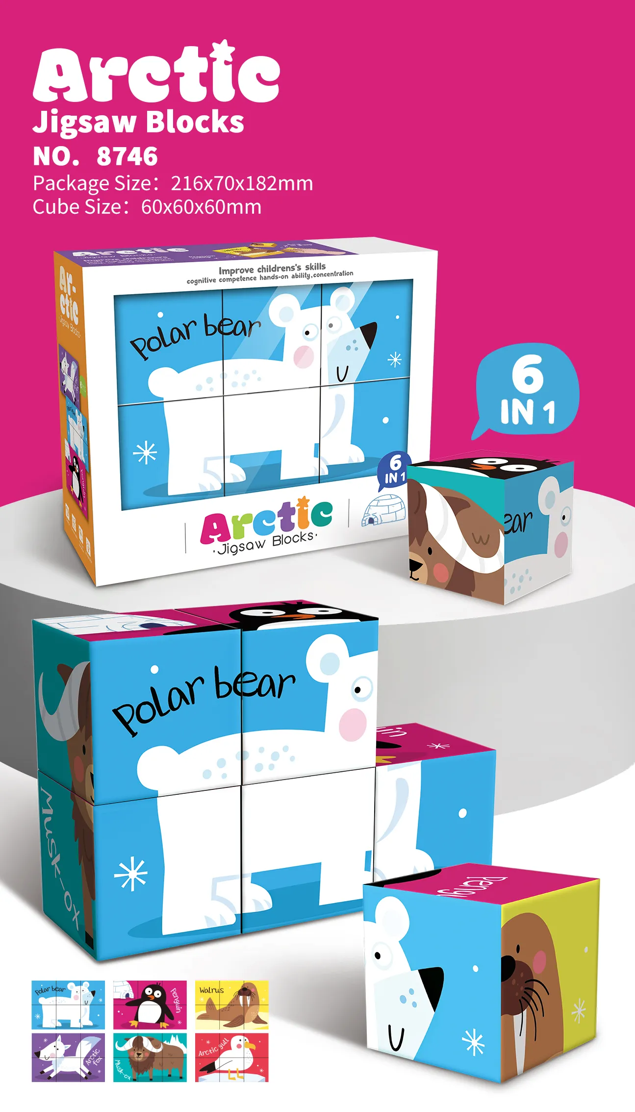 PP-8746 6-in-1 Educational Cube Puzzle_Arctic